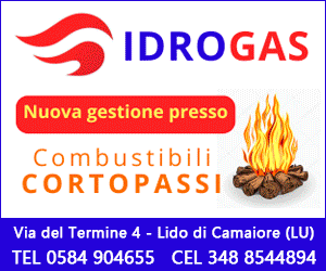 Servizio a Domicilio Gas GPL, Legna da Ardere e Carbone by Idrogas Viareggio