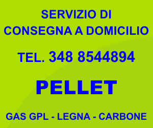 Servizio a Domicilio Pellet - Stufe Pellet, Gas GPL, Legna da Ardere e Carbone by Idrogas Viareggio Tel. 058444050